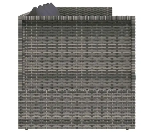 Dārza Gulta, Pelēka, 200X60 Cm, Pe Rotangpalma Vidaxl