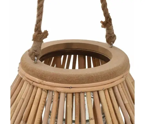 Rippuv Küünlalatern, Vitstest, Naturaalne