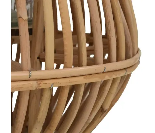 Rippuv Küünlalatern, Vitstest, Naturaalne