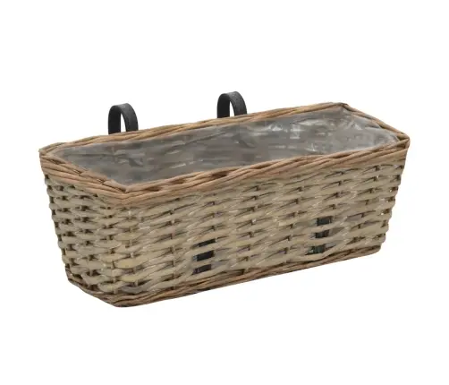 Balkona Puķu Kastes, 2 Gab., Pinums Ar Pe Oderi, 40 Cm Vidaxl