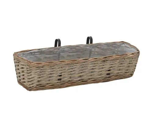 Balkona Puķu Kastes, 2 Gab., Pinums Ar Pe Oderi, 60 Cm Vidaxl