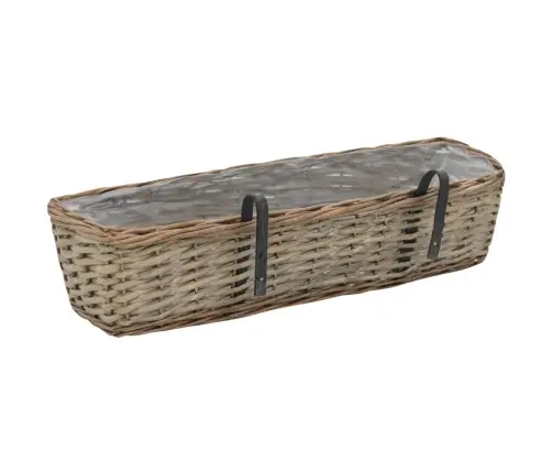 Balkona Puķu Kastes, 2 Gab., Pinums Ar Pe Oderi, 60 Cm Vidaxl