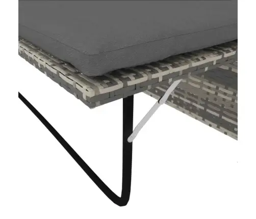 2-Daļīgs Dārza Atpūtas Mēbeļu Komplekts Ar Matračiem, Pelēks Pe Vidaxl