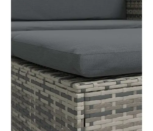 2-Daļīgs Dārza Atpūtas Mēbeļu Komplekts Ar Matračiem, Pelēks Pe Vidaxl