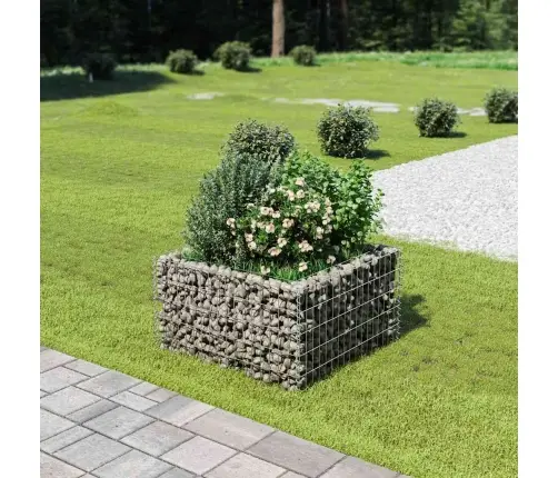 Gabiono Vazonas, Galvanizuotas Plienas, 90X90X50cm Aukštas