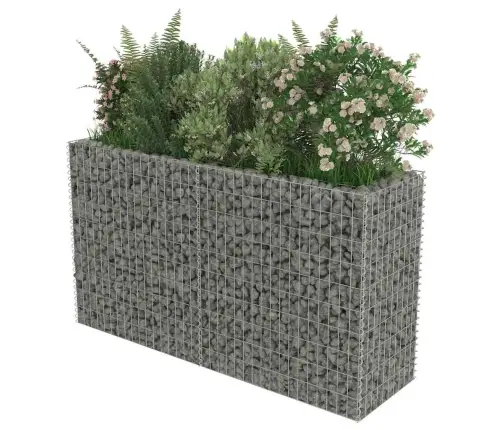 Gabioon-Taimelava, Tsingitud Teras, 180 X 50 X 100 Cm