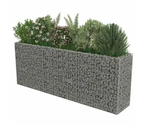 Gabioon-Taimelava, Tsingitud Teras, 270 X 50 X 100 Cm