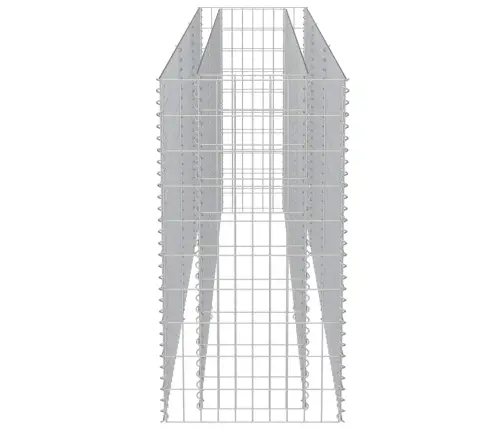 Gabioon-Taimelava, Tsingitud Teras, 270 X 50 X 100 Cm