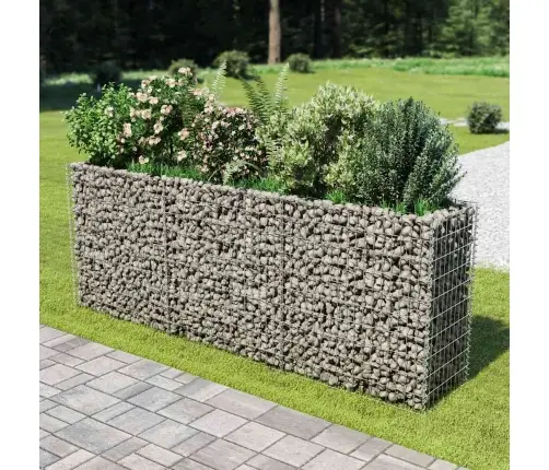 Gabioon-Taimelava, Tsingitud Teras, 270 X 50 X 100 Cm