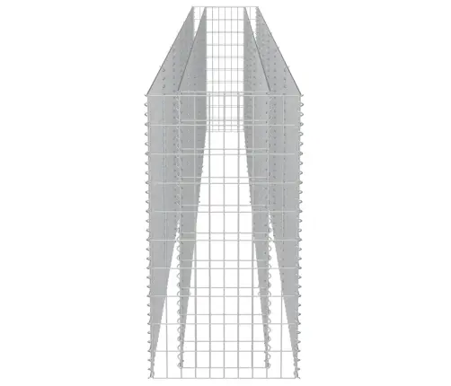 Gabioon-Taimelava, Tsingitud Teras, 540 X 50 X 100 Cm