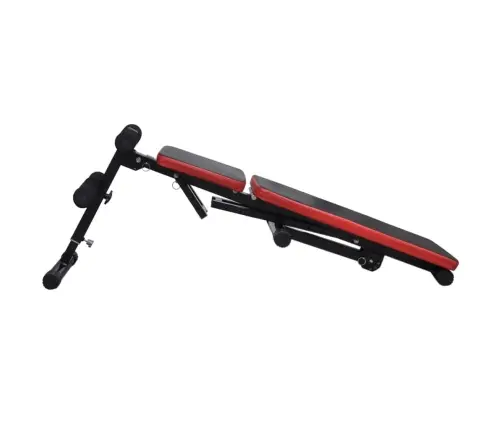 Reguleeritav Istessetõusu Pink Kangide Ja Hantlitega 60,5 Kg