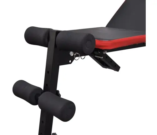 Reguleeritav Istessetõusu Pink Kangide Ja Hantlitega 60,5 Kg