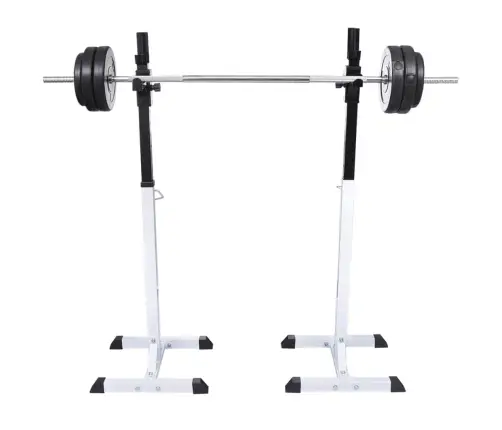 Svaru Stieņa Statīvs Ar Stieni Un Hantelēm, 60,5 Kg Vidaxl