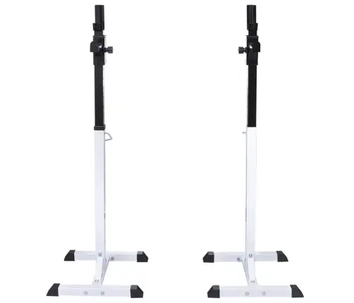 Svaru Stieņa Statīvs Ar Stieni Un Hantelēm, 60,5 Kg Vidaxl