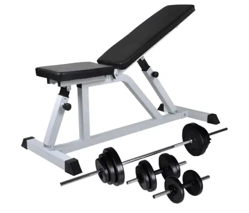 Treniņu Sols Ar Hantelēm Un Stieni, 30,5 Kg Vidaxl