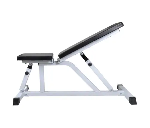 Treniņu Sols Ar Hantelēm Un Stieni, 30,5 Kg Vidaxl