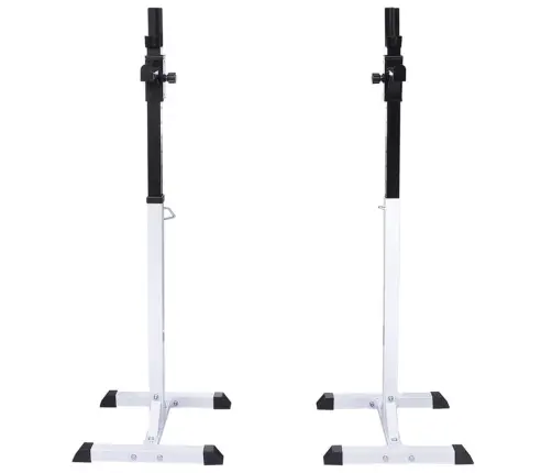 Svaru Stieņa Statīvs Ar Stieni Un Hantelēm, 30,5 Kg Vidaxl