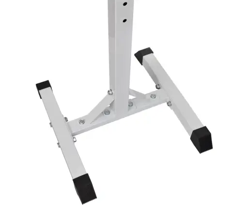 Svaru Stieņa Statīvs Ar Stieni Un Hantelēm, 30,5 Kg Vidaxl