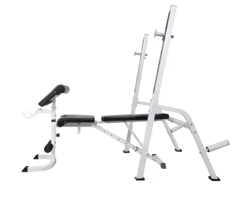 Treeningpink Raskuste Hoidja, Kangide Ja Hantlitega 60,5 Kg