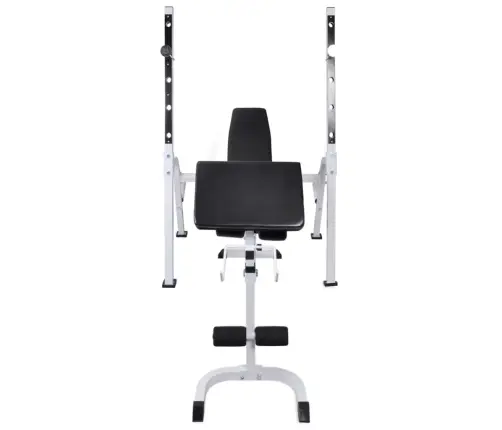 Treeningpink Raskuste Hoidja, Kangide Ja Hantlitega 60,5 Kg