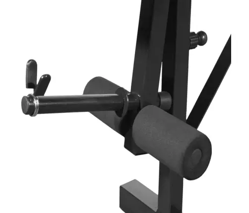 Tõstepink Tõsteraskuse Hoidikute, Kangide Ja Hantlitega 30,5 Kg