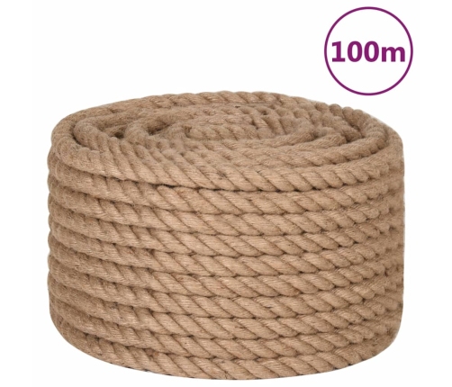 Virve, 20 Mm, 100 M, 100% Džuta Vidaxl