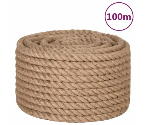 Virve, 20 Mm, 100 M, 100% Džuta Vidaxl