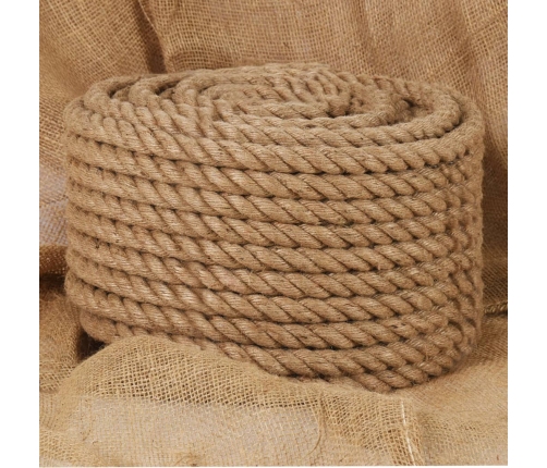 Virve, 20 Mm, 100 M, 100% Džuta Vidaxl