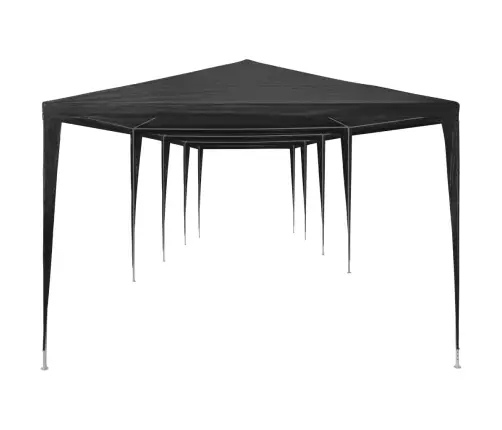 Svinību Telts, Antracītpelēka, Pe, 3X12 M Vidaxl