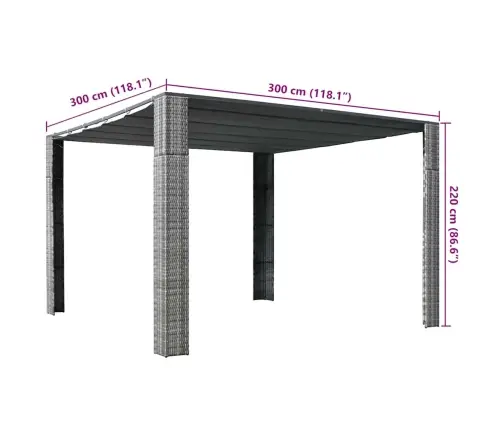 Nojume Ar Jumtu, Pelēka Pe Rotangpalma, 300X300X220 Cm Vidaxl