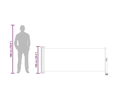 Izvelkama Sānu Markīze, 100X300 Cm, Melns Vidaxl