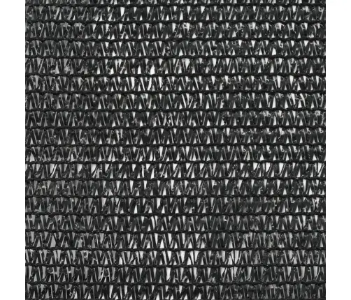 Uždanga Teniso Kortams, Juoda, 1X25M, Hdpe