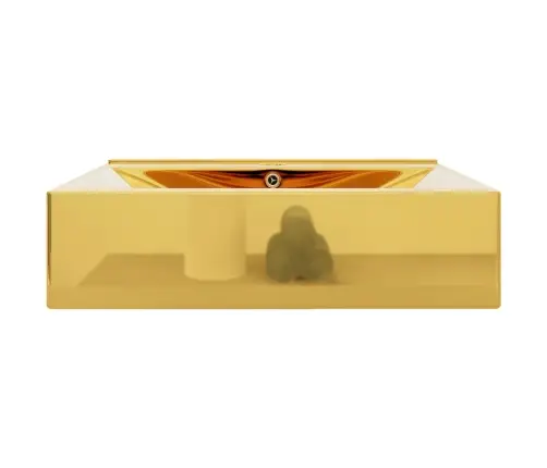 Praust. Su Aps. Nuo Vand. Išsil., 60X46X16cm Auks. Sp., Ker.