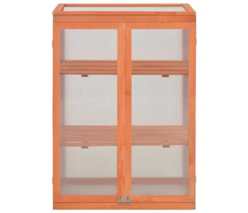 Kasvuhoone Puidust 75X47X109 Cm