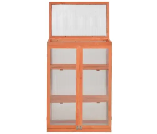 Kasvuhoone Puidust 75X47X109 Cm