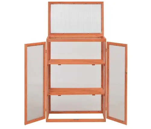 Kasvuhoone Puidust 75X47X109 Cm