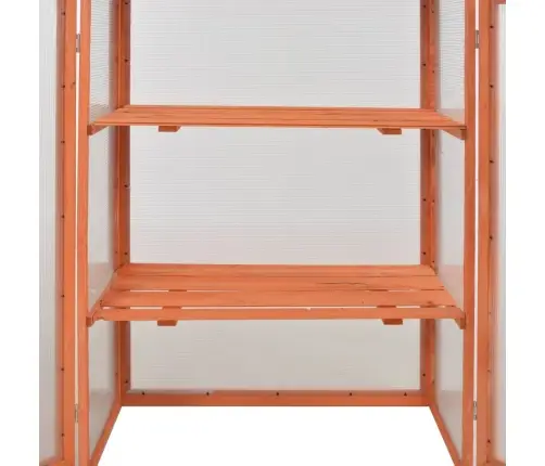 Kasvuhoone Puidust 75X47X109 Cm