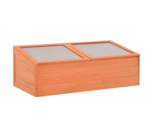 Šiltnamis, 100X50X34cm Mediena