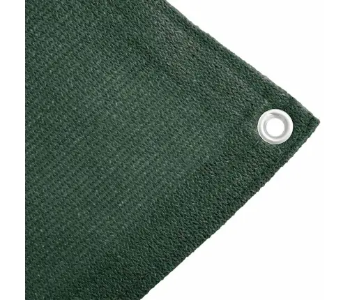 Telts Paklājs, 300X500 Cm, Hdpe, Zaļš Vidaxl