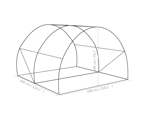 Kasvuhoone 9 M² 300 X 300 X 200 Cm