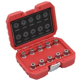 10-Daļīgs Bloķēšanas Riteņu Atslēgu Komplekts Bmw Automašīnām Vidaxl