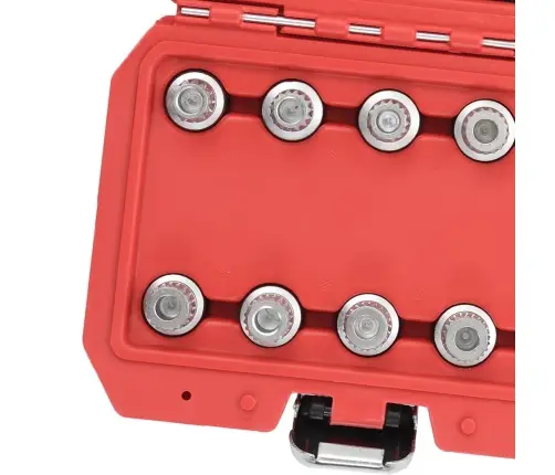 10-Osaline Ratta Lukustusmutrite Komplekt Bmw-Le