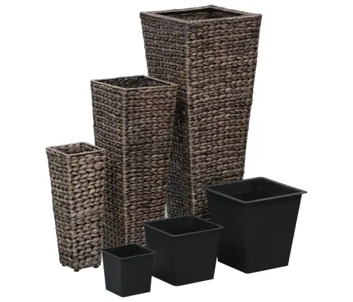 Taimekastid, 3 Tk, Vesihüatsint, Tumepruun