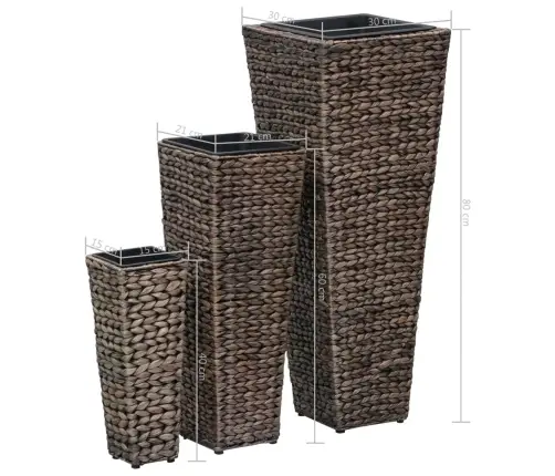 Taimekastid, 3 Tk, Vesihüatsint, Tumepruun