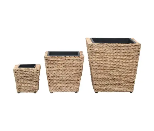 Aukšti Loveliai, 3Vnt., Vandens Hiacintas