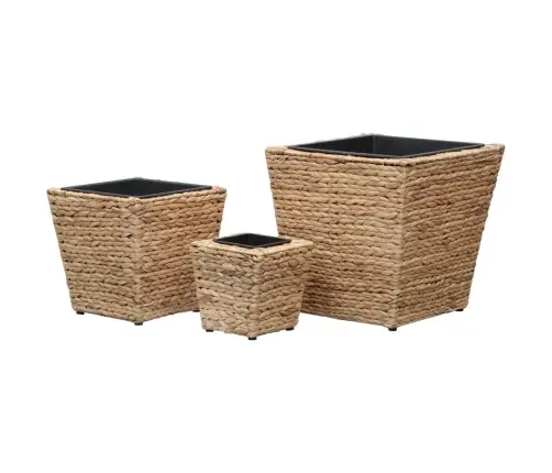 Aukšti Loveliai, 3Vnt., Vandens Hiacintas