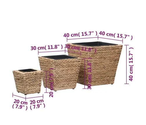 Aukšti Loveliai, 3Vnt., Vandens Hiacintas