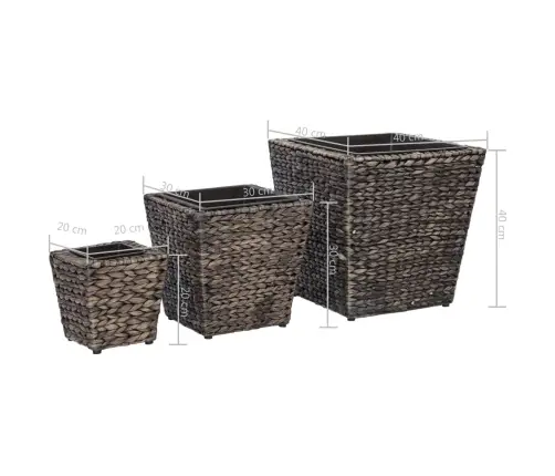 Aukšti Loveliai, 3Vnt., Rudos Spalvos, Vandens Hiacintas