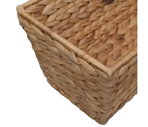 Puķu Kastes, 2 Gab., Ūdens Hiacinte  Vidaxl