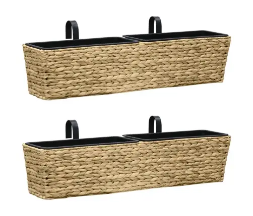 Taimekastid, 2 Tk, Vesihüatsint